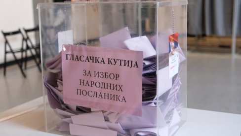СМАЊЕНЕ ГУЖВЕ НА БИРАЧКИМ МЕСТИМА Димитријевић: Гласање се одвија без проблема