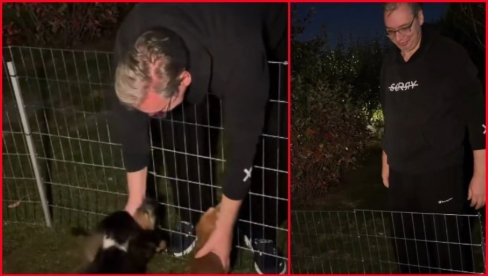 ВУЧИЋ ПОДЕЛИО ЕМОТИВАН СНИМАК: Открио где је пронашао мир после свих сцена ужасног насиља које се синоћ догодило (ВИДЕО)