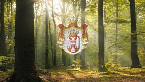 SKRIVENO BLAGO NAŠE ZEMLJE: U Srbiji postoji prašuma u kojoj 350 godina nije posečeno drvo (VIDEO)