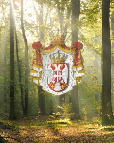 SKRIVENO BLAGO NAŠE ZEMLJE: U Srbiji postoji prašuma u kojoj 350 godina nije posečeno drvo (VIDEO)