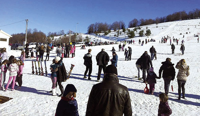 Бесној кобили недостаје смештај 