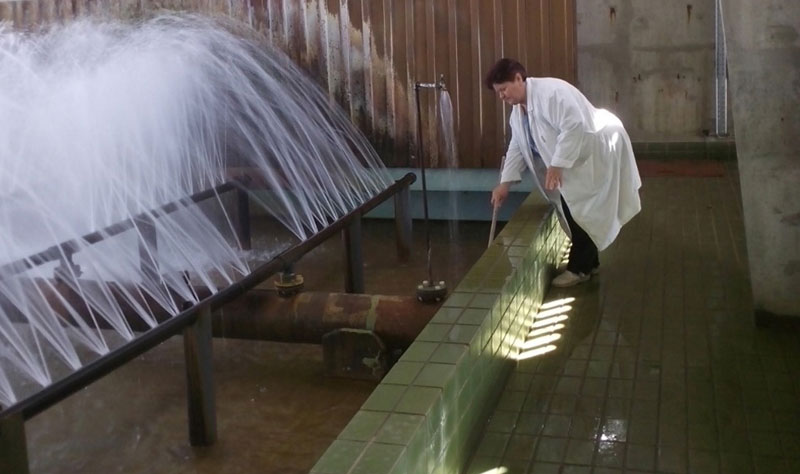 Сомбор: Бактерије диктирају притисак