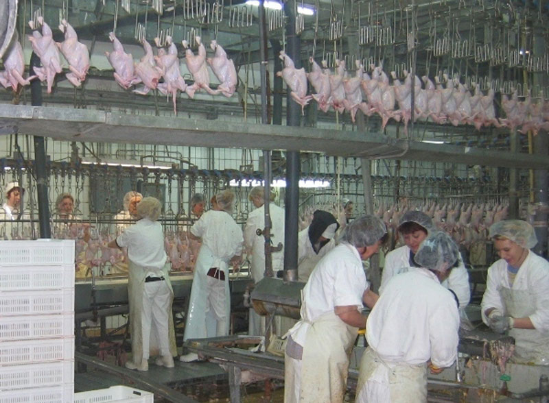 Строжији критеријуми за ниво калцијума у месу