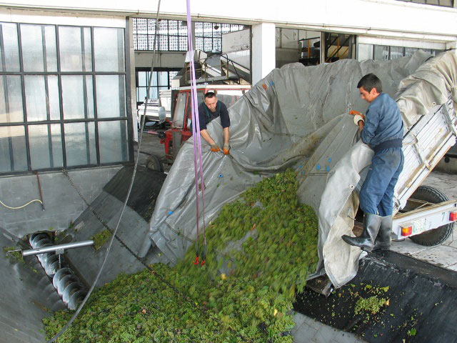 Италијани преузимају “Вршачке винограде”