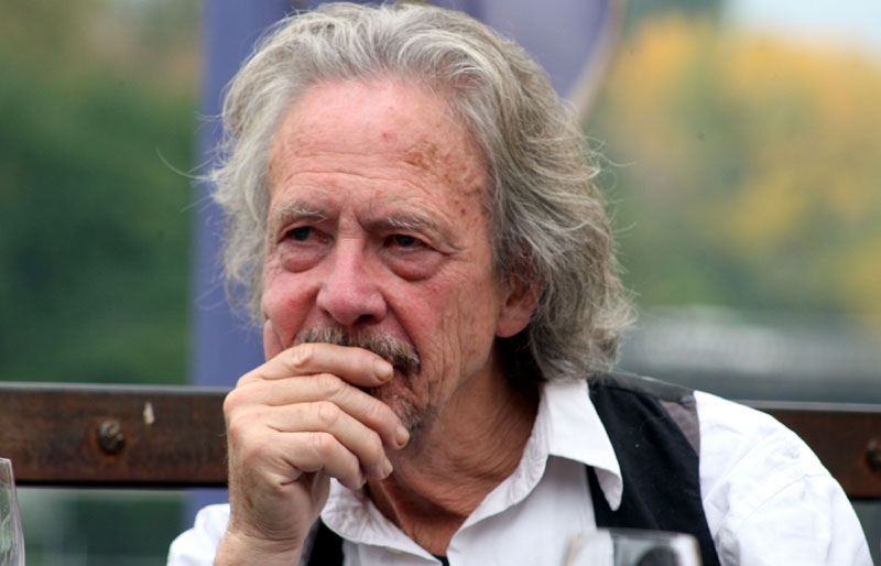 Хандке на Косову и Метохији