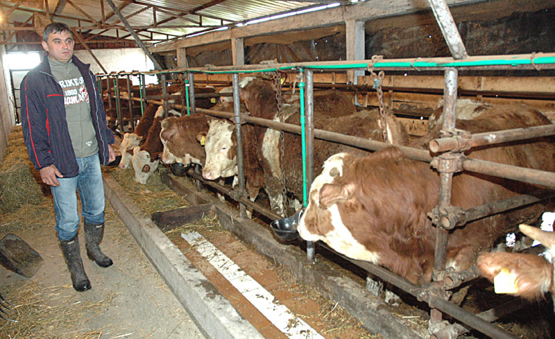 Бијељина: Сељака држава тера у рикверц