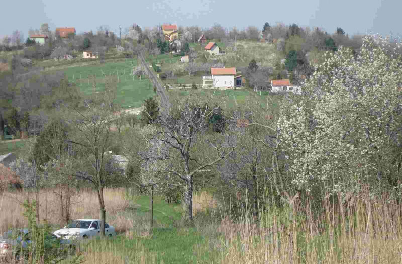 Фрушка гора: Угинуло 20 паса и мачака, узрок непознат!
