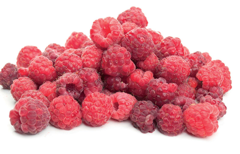 Ариље: Промовисана малиновача, ракија произведена новим поступком