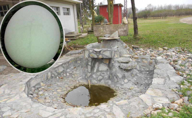 Кокошка снела јаје с крстом?