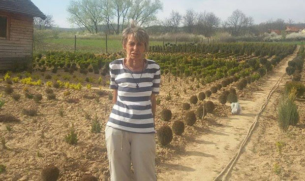 Катедру заменила четинарима