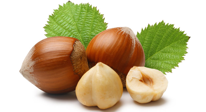 Италијани хоће у Неготину да закупе још 280 хектара за производњу лешника