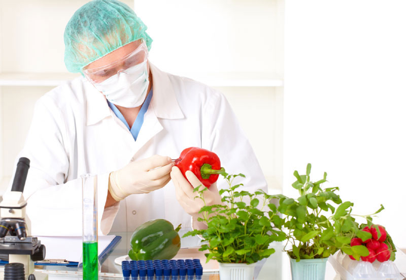 ГМО у Српску стиже преко Федерације