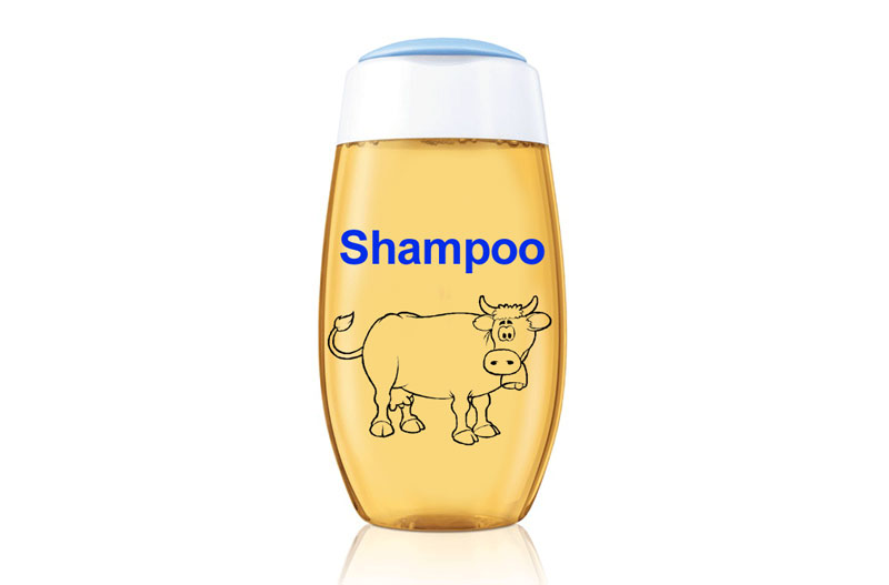 Исланд: Помама за шампоном од крављег урина!