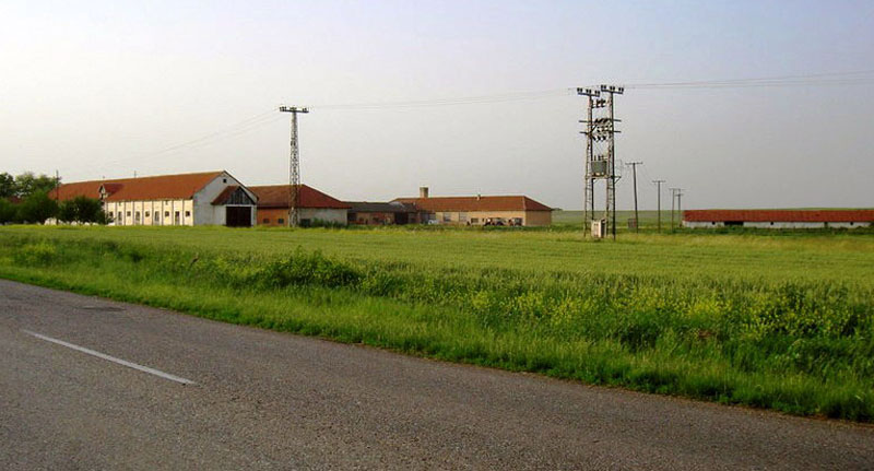 Без шеика у - стечај