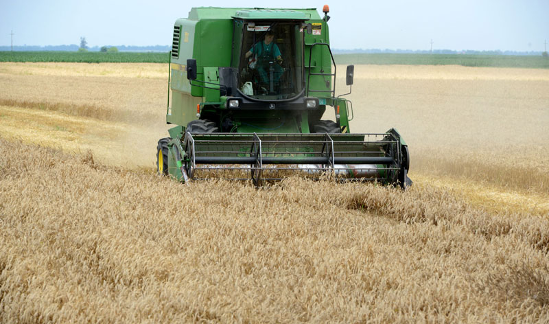 Род просечан, али биће хлеба