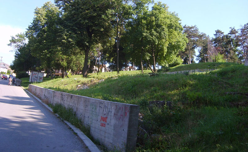 Иживљавали се над дечаком