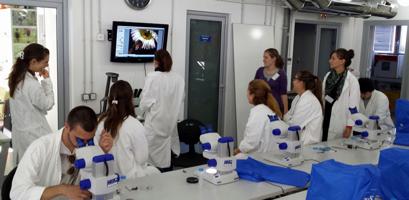 Петница наставила рад