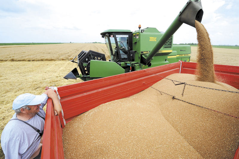 Русија извози у Кину воду, пшеницу и пиринач