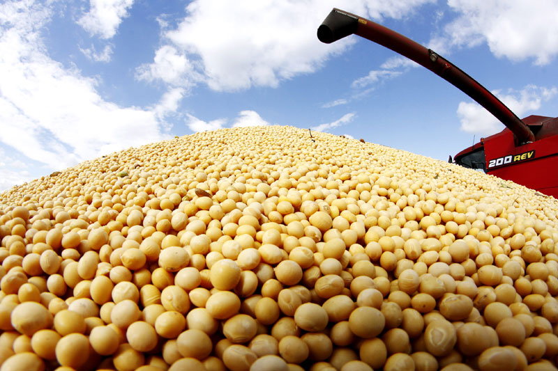 Србију условљавају да прихвати ГМО