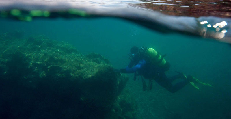 Руси оборили рекорд у роњењу на Арктику, Српкиња део тима