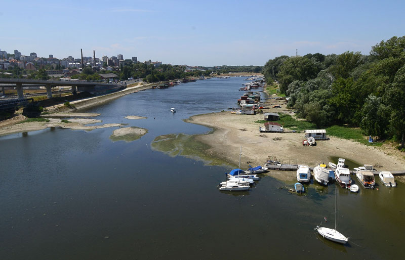Београд: Насукани аласи али и веслачи! 