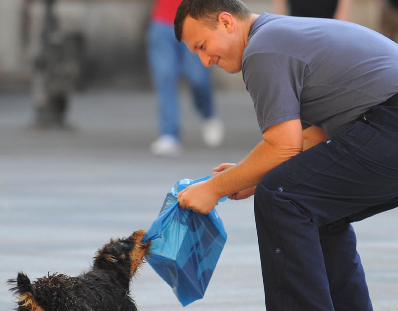 Нико још није кажњен