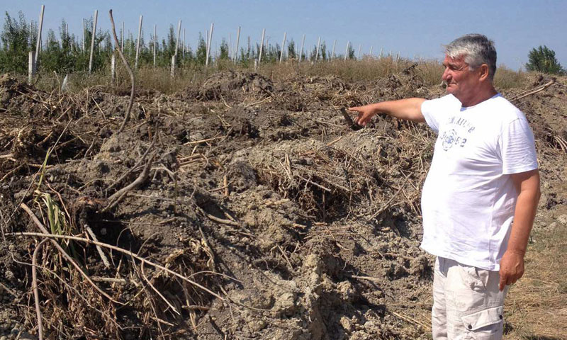 Црвенка: Воћњак заливен муљем, загађено сто хиљада стабала!