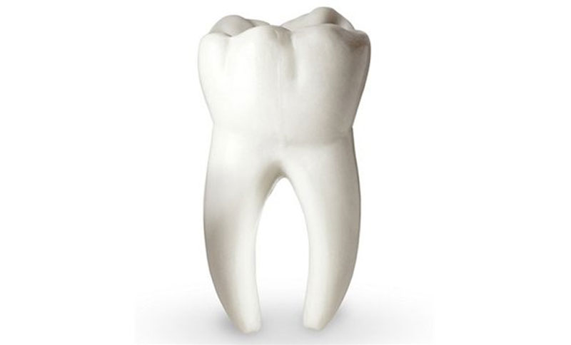 Тинејџерка пронашла зуб стар преко 500.000 година