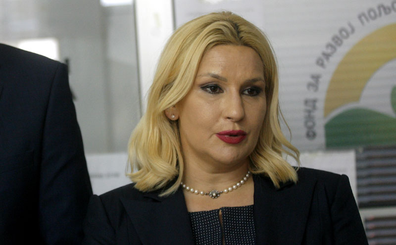 Михајловић: Базилика је конзервирана, није затрпана