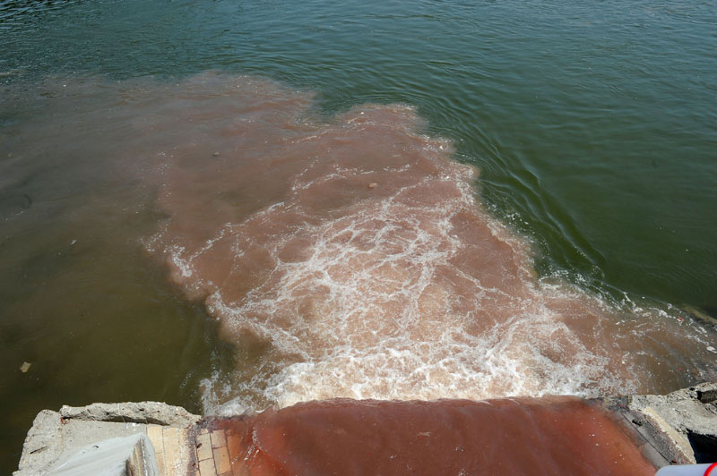 Нови Сад: Мрља на Дунаву од фекалија, еритоцита, леукоцита!