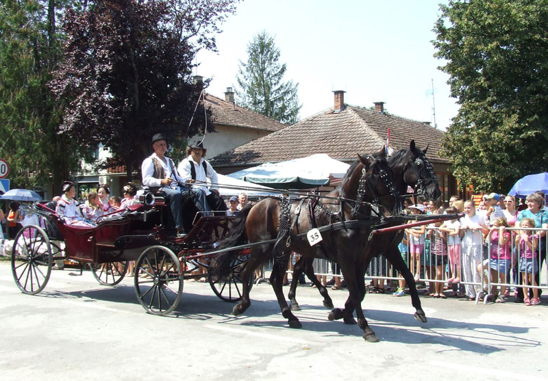 Фијакери и џокеји крај Дунава