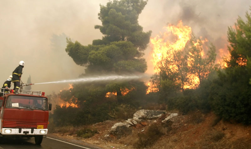 Горе хектари шума у Сибиру