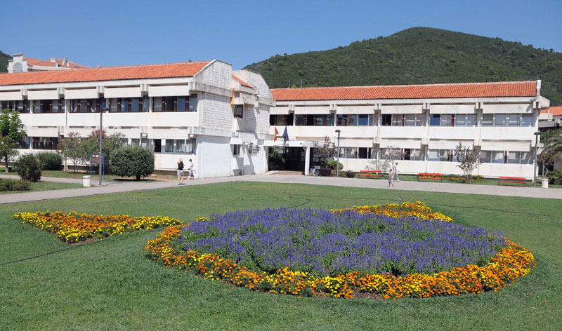 Будва: Решење су ванредни избори?