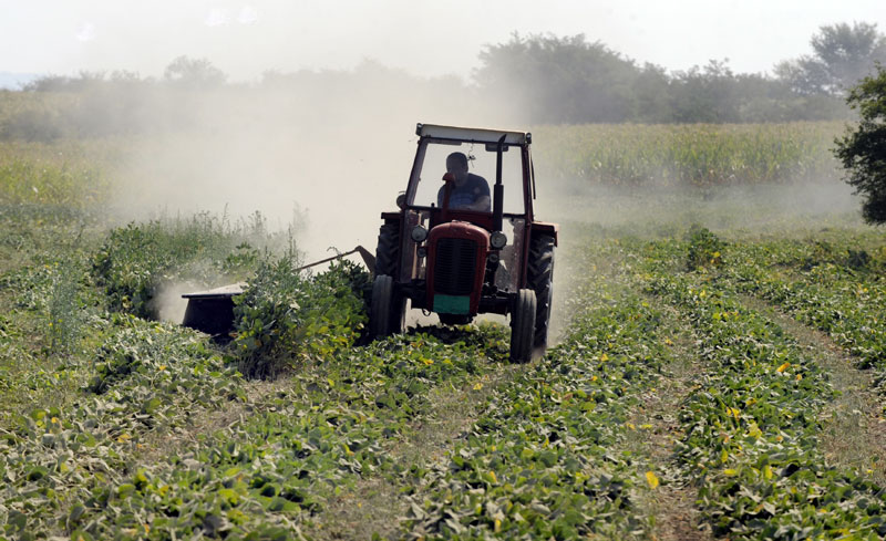 Трактор преорао ГМ соју