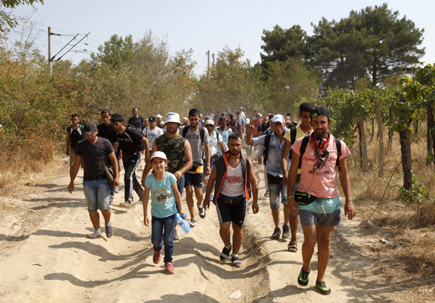 Мигранти упадају на имања