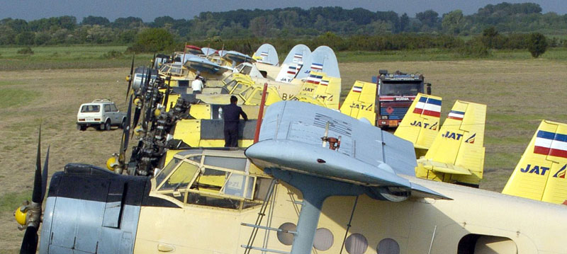 Београд: Комарци заражени, али нема запрашивања из ваздуха!