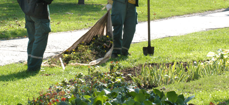 Лажни радници Зеленила мигрантима продају СИМ картице