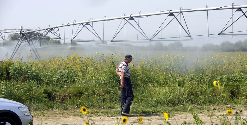 Арапи заливају српске оранице