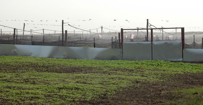 С пужевима споро до профита