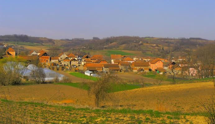 Усмртио брата док су крали дрва!