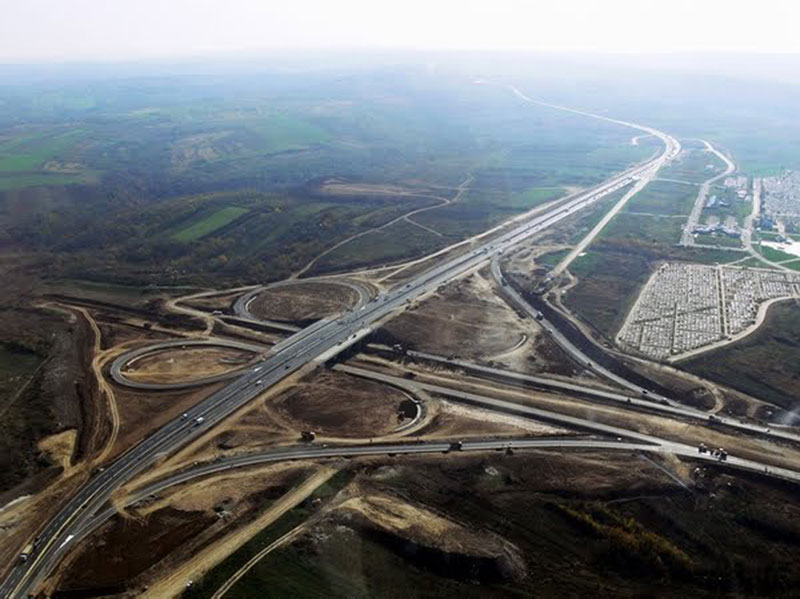 Београд: Стари храст пао али борићи неће!