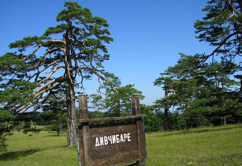 Нашли воду пуну магнезијума