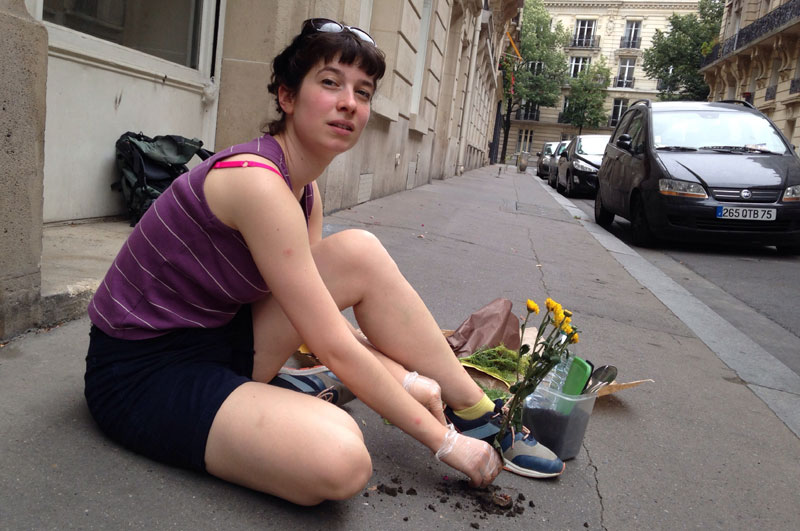 Расадник насред париског плочника