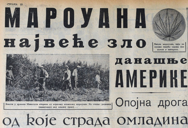 Радиоманија раширенија од мароуане