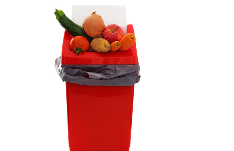 Колико заиста хране бацамо