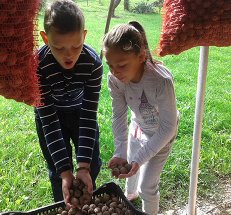 Одлична зарада без много муке