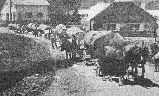 Век прошли уз самар и запрегу
