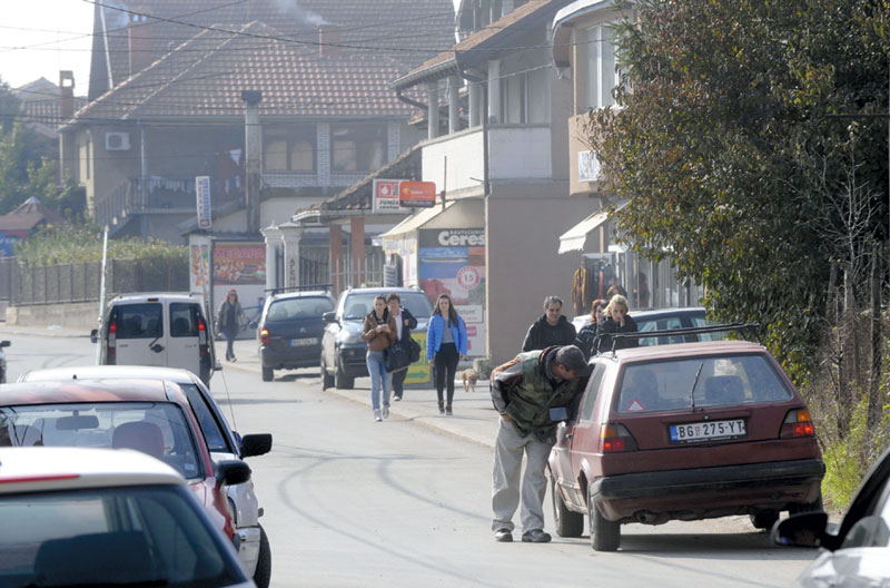 Ободи престонице муку муче са водом и псима луталицама