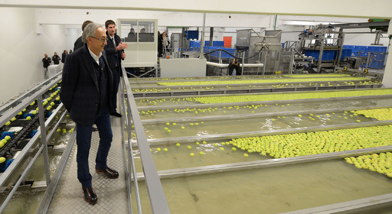 Српска јабука у француском паковању