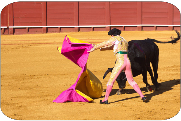 Бик убио тореадора 